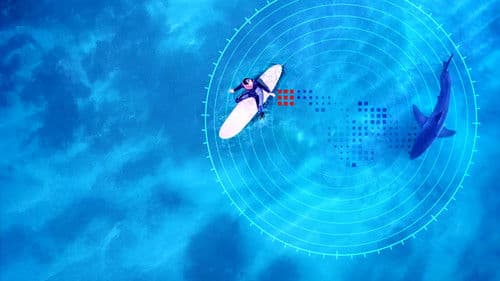 Investigation Shark Attack Bild 1