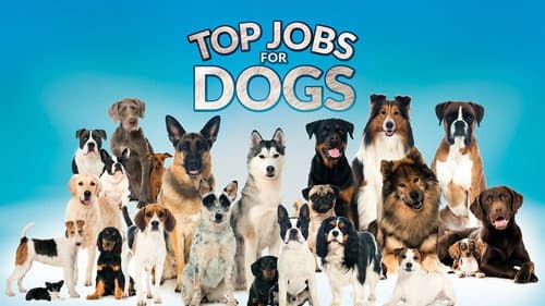 Top Jobs for Dogs Bild 2