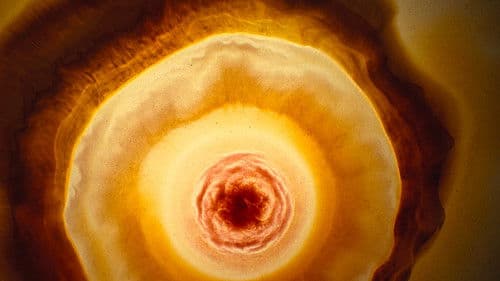 Voyage of Time: Life's Journey Bild 2