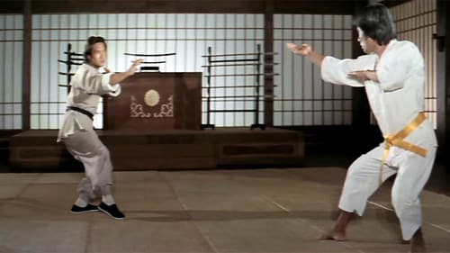 Legend of a Fighter Bild 1