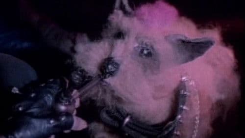 Cutting Moments Bild 2