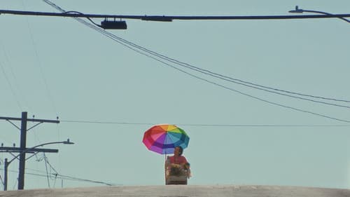 The Moth & The Fly Bild 1