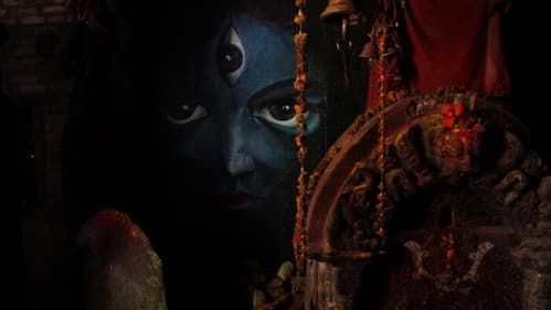 झलिनी Bild 2