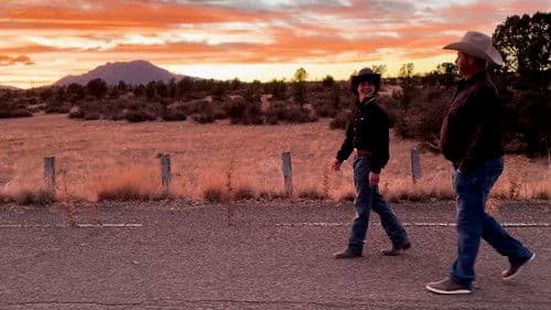 The Wolf in the Chute Bild 1