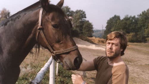 Monika a hříbě s hvězdičkou Bild 1