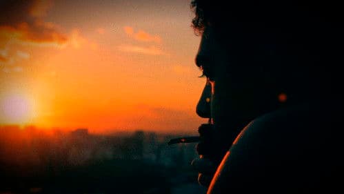 A Bruta Flor do Querer Bild 1