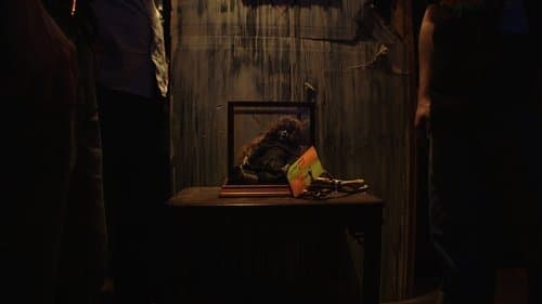 Anna - Jetzt hat Sie die Kontrolle Bild 1