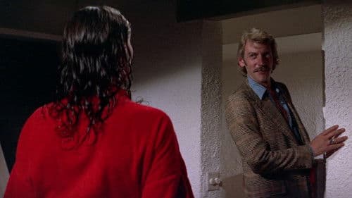 Diamantenlady Bild 7