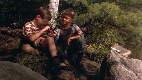 Looking for Miracles Bild 1