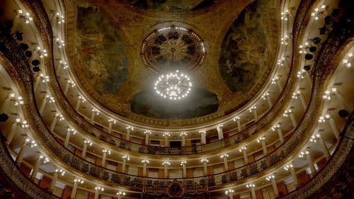 Teatro Amazonas – Musik im Regenwald Bild 2