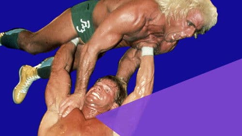 NWA Starrcade 1988 Bild 2