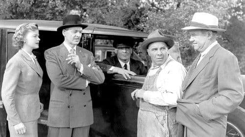 My True Story Bild 2