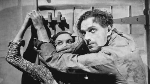 A Cottage on Dartmoor Bild 1