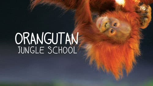 Orangutan Jungle School – Kindergarten mal anders Bild 3
