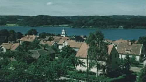 Ulricehamn, staden vid Åsunden Bild 1