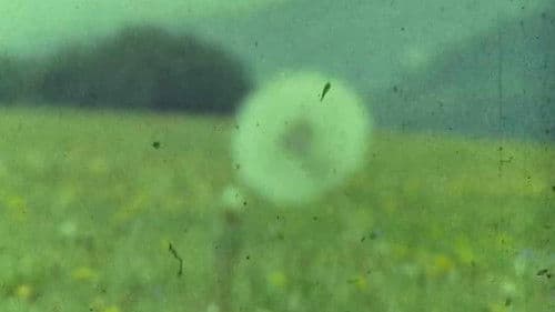 Мої вихідні Bild 6