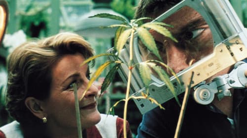 Grasgeflüster Bild 7
