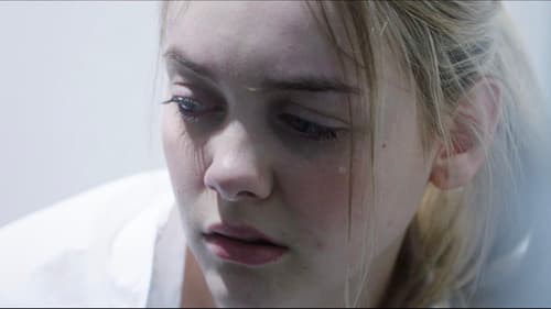 Wild Butterfly Bild 1