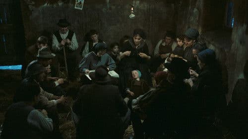 Der Holzschuhbaum Bild 1