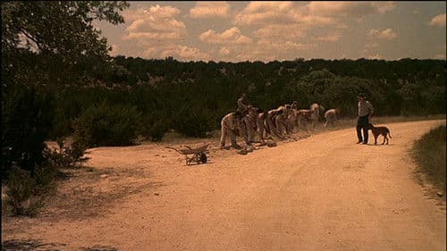 The Ballad of the Sad Cafe Bild 2