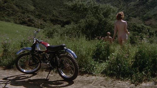 Invasion der Bienenmädchen Bild 2