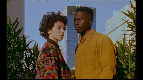 Distant Lights Bild 2