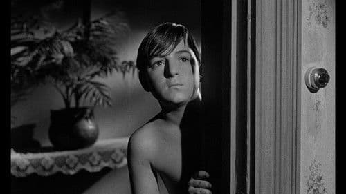 Die Sprache der Gewalt Bild 7