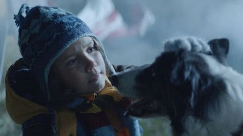 Kingitus orbiidilt Bild 1