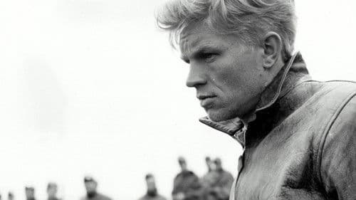 Einer kam durch Bild 2