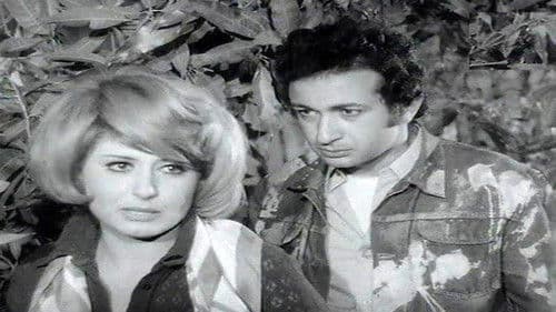 شيء من الحب Bild 2