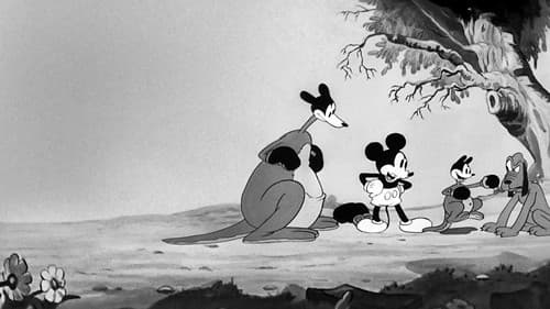 Micky's Känguruh Bild 3