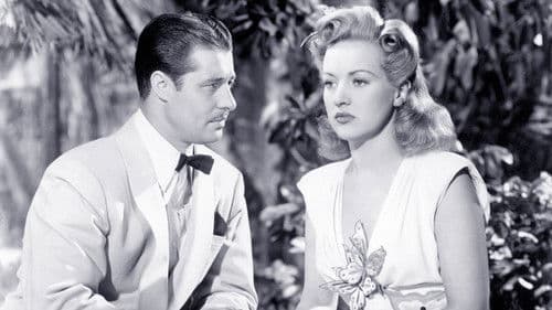 Allotria in Florida Bild 2