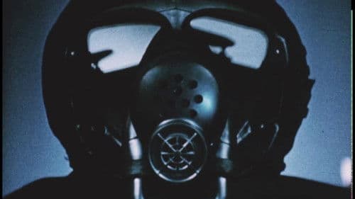 The Way of Peace Bild 1