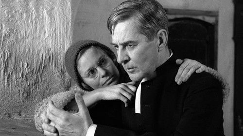 Licht im Winter Bild 2