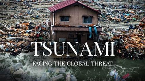 Tsunami – Gefahr aus der Tiefe Bild 2