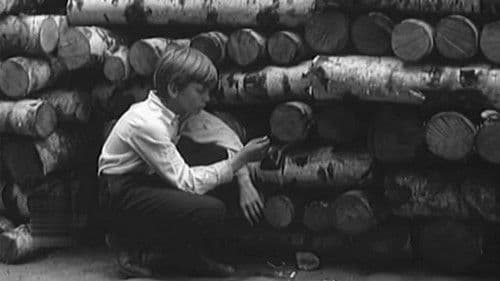 Мальчишки Bild 1