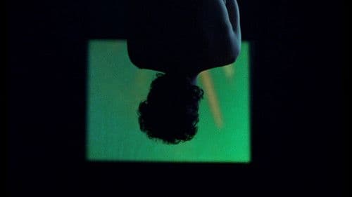 Los murciélagos han abandonado el campanario Bild 1