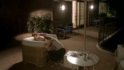 The Pleasure Shop on 7th Avenue Bild 6