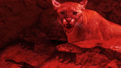 Dead or Alive Bild 3