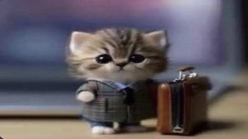 Florentina's Workout Naif Bild 4