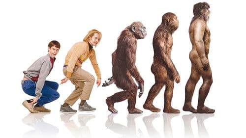 Dumm und dümmerer Bild 2