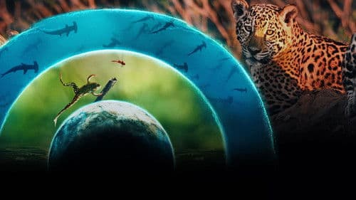 Unsere lebende Welt Bild 5