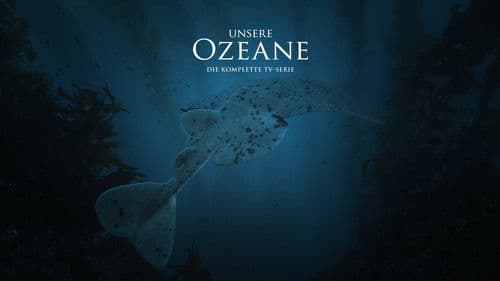 Unsere Ozeane Bild 2