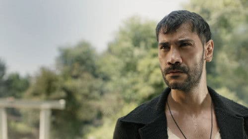 Kanunsuz Topraklar Bild 5