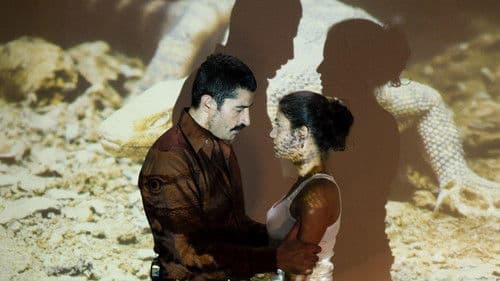 Die Drachenfalle Bild 2