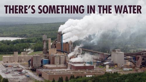 There's Something in the Water Bild 3