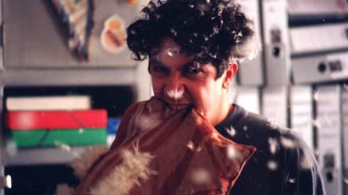 Mein Hund, der Fußballstar Bild 4