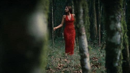 Saneamento Básico, O Filme Bild 7