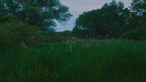 600 years from now Bild 3