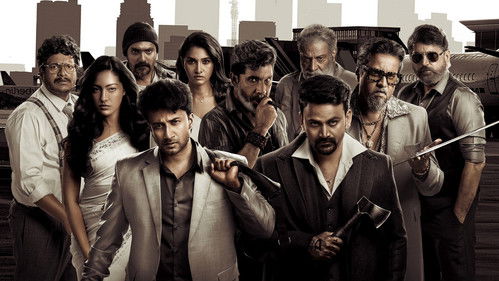 జీబ్రా Bild 3